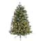 5ft. Pre-Lit Snowed Tipped Clermont Mixed Pine Artificial Christmas Tree, Clear Lights